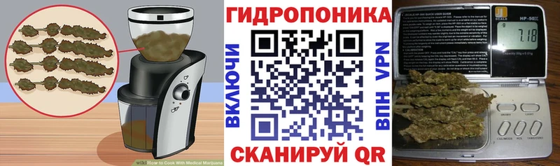 Купить закладки  Спас-Клепики  Еда ТГК марихуана 