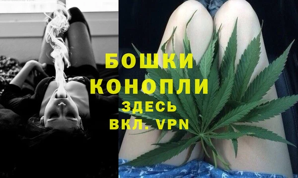 мдпв Волоколамск